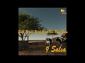 A2 Di Fulani - Salsa  [Official Lyric Video]