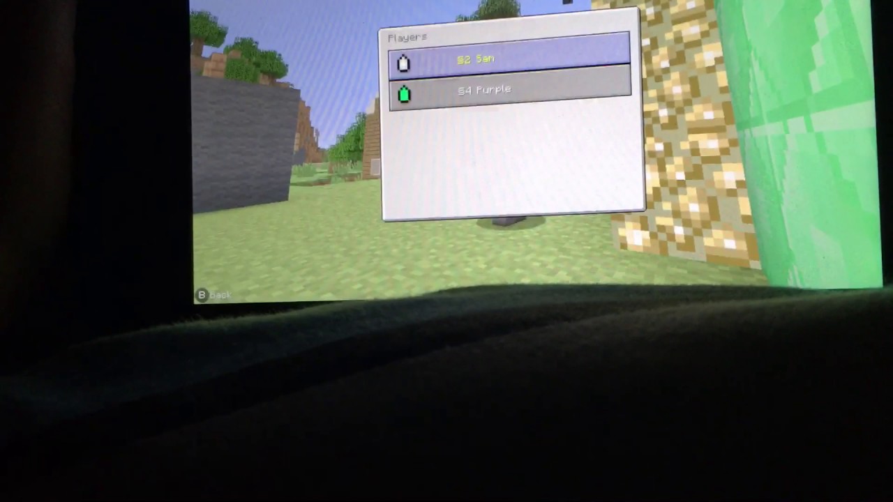 How To Put Parrots On Your Shoulders in Minecraft