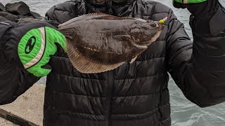 Winter Flounder Fishing Antrim Coast