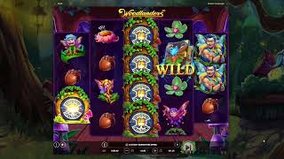 Woodlanders Slot Gameplay | Chill Spins or BIG WINS? (Betsoft) screenshot 5