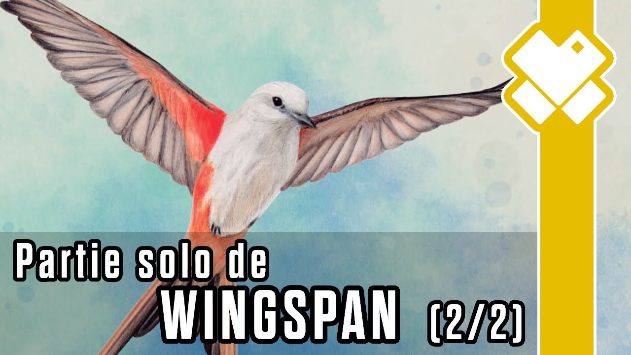 Wingspan : Premier vol en solo (suite et fin de la partie) - YouTube