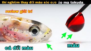 Thí nghiệm đổi màu cơ thể "Cá Thủy Tinh " cực ảo ma của anh bảy || review giải trí đời sống