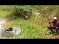 Fish Hunting||Big cat Fish Catching||incredible Fish Hunting||village fishing||Fishing 🎣||catFishin