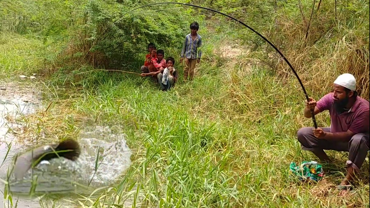 Fish HuntingBig cat Fish Catchingincredible Fish Huntingvillage