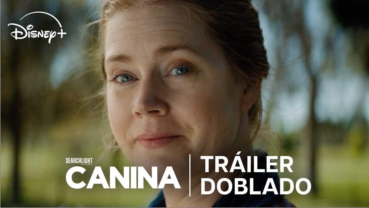 Canina | Tráiler Doblado | Disney+