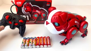 Unboxing Police car, Electric Mechanical Dog, Remote Control Transformable Car, Gear Beetle, RC Bus