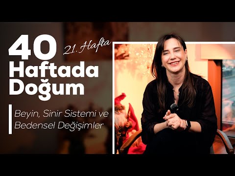 Hamileliğin 21. haftası — video