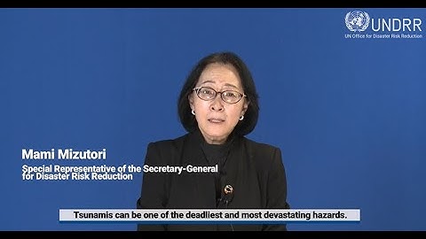 Head of UNDRR