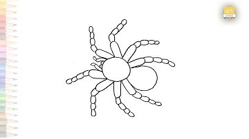 Tarantula spider drawing | Spider outline drawings easy | How to draw Tarantula step by step