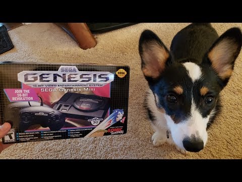 the Sega Genesis