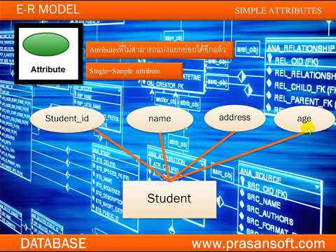 ศึกษาDatabaseด้วยตัวเองตอนที่ 28 ทำความรู้จัก simple attribute