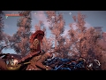 Ich meine, sehen Sie sich nur an, wie Horizon: Zero Dawns Protagonistin sich auf dem Pferd umdreht