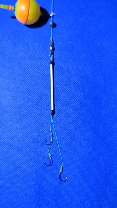 Tutorial Cara Membuat Rangkaian Pancing Nila Umpan Lumut #shorts #mancing