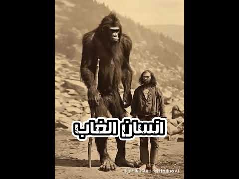 انسان الغاب