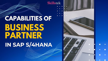 Capabilities of a Business Partner in SAP S4 HANA | Skillstek