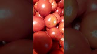 طريقة عمل صلصه الطماطم من تجهزات رمضان