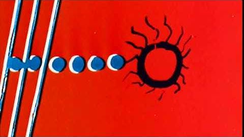 Kutcorners & K-Maxx - "Need 2 Know" OFFICIAL VERSION