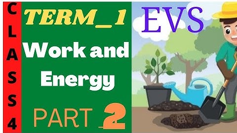CLASS 4 EVS | TERM 1 Work and energy | part 2 |