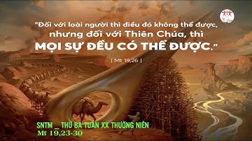 Suy niệm Lời Chúa | Thứ Ba tuần XX Thường Niên | Mt 19,23-30 | Lm Ant. Nguyễn Cao Siêu SJ