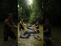 Discovery Channel Anaconda Capture Columbia Rainforest! Bbc Snake 🐍 #bite #Attack