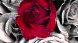 Kezban Dogan.wmv Resimi