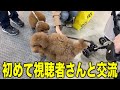 【チャンネル史上初】視聴者さんに声をかけてもらったトイプードルinインターペット2026!
