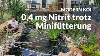 Eine Wasseranalyse An Christophers Teich Modern Koi Blog