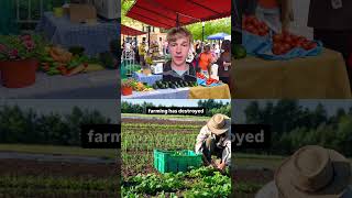 Every dollar we spend can revolutionize change in the food system