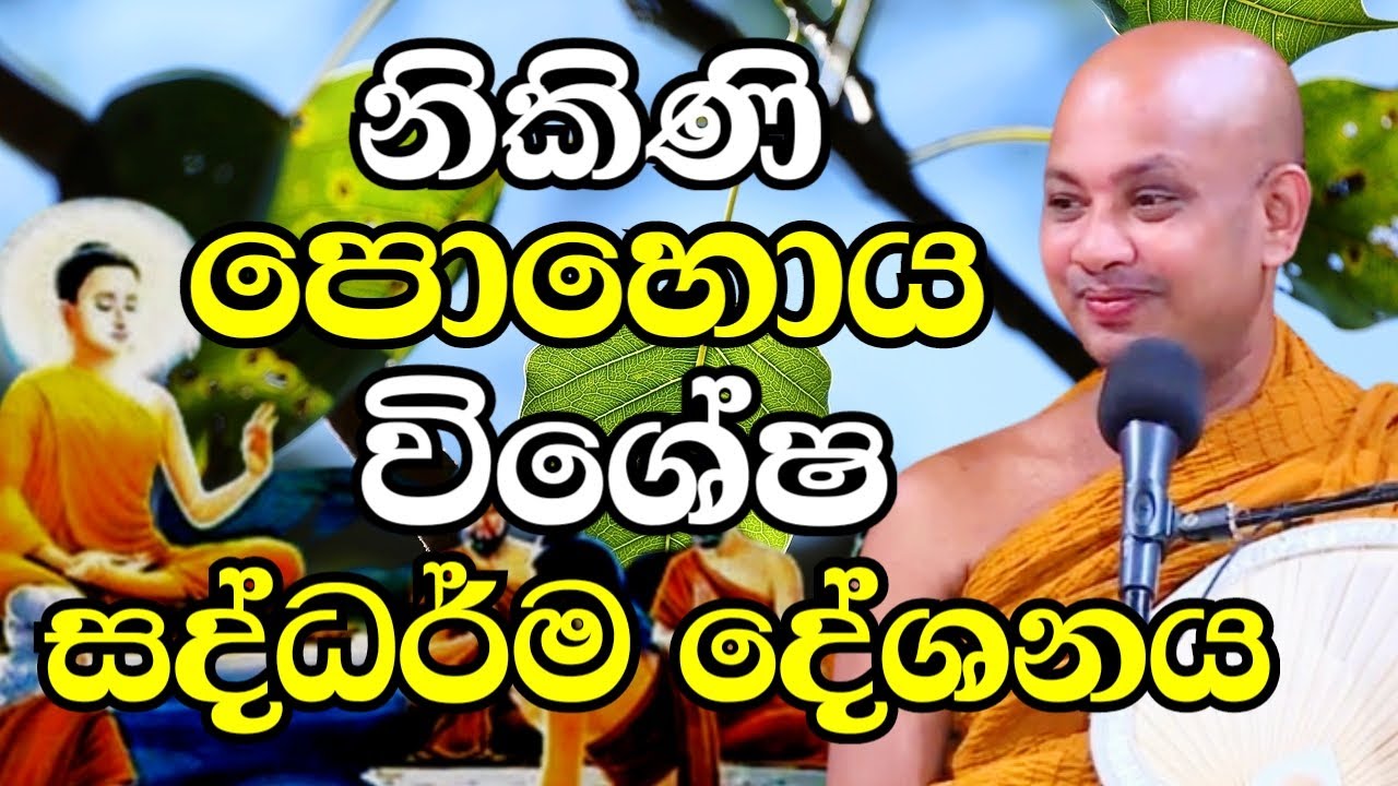 නිකිණි පොහොය විශේෂ සද්ධර්ම දේශනය - කොවිද හිමි | Ven Boralle Kovida Thero Bana 2024 | Budu Bana 2024