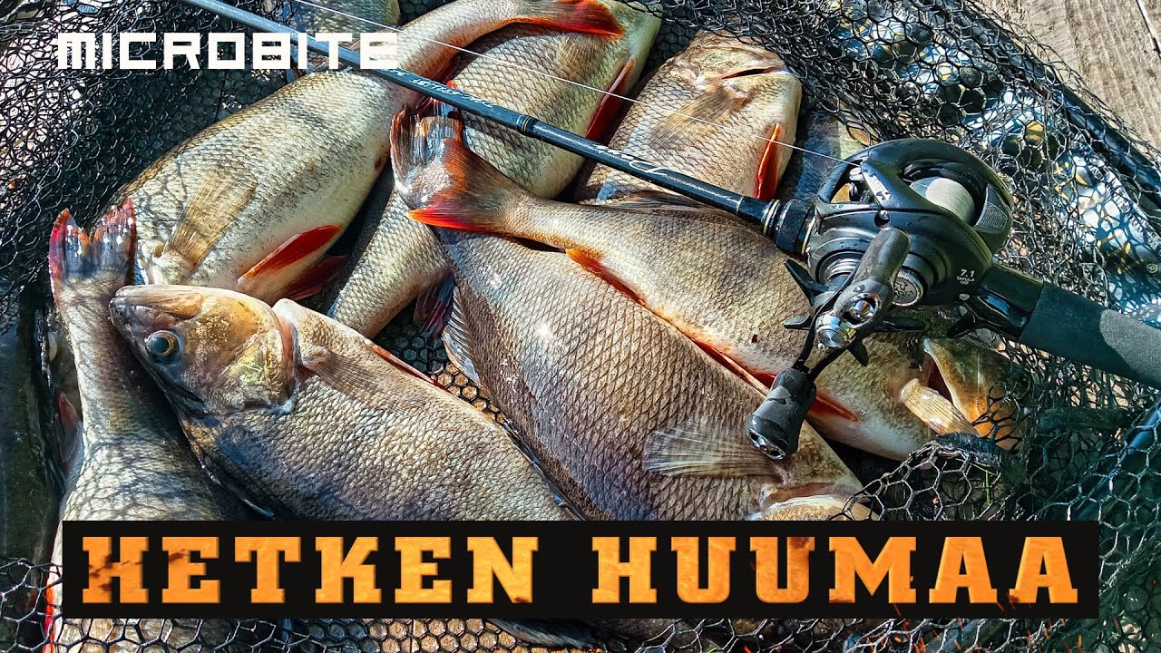 Tulinen aamusyönti / Alburnus PT korjasi potin