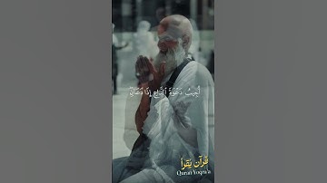 اذا سألك عبادى عني #سورة_البقرة #القرآن_الكريم #اسلام_صبحي #اكسبلور #راحة_نفسية #لايك #تلاوة_خاشعة