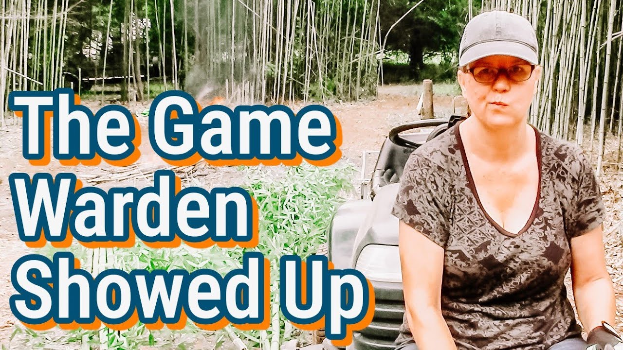 Clearing Bamboo the Hard Way (Would NOT Recommend)