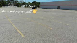 Obstacle Avoidance