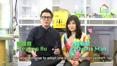 Hong Kong Celebrities Stephen Au & Phyllis Man on ...