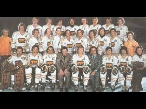 WHA: Chicago Cougars 1972-73 Season Preview