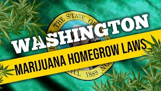 Washington Marijuana Laws for Home Cultivation and Medical Use in 2021