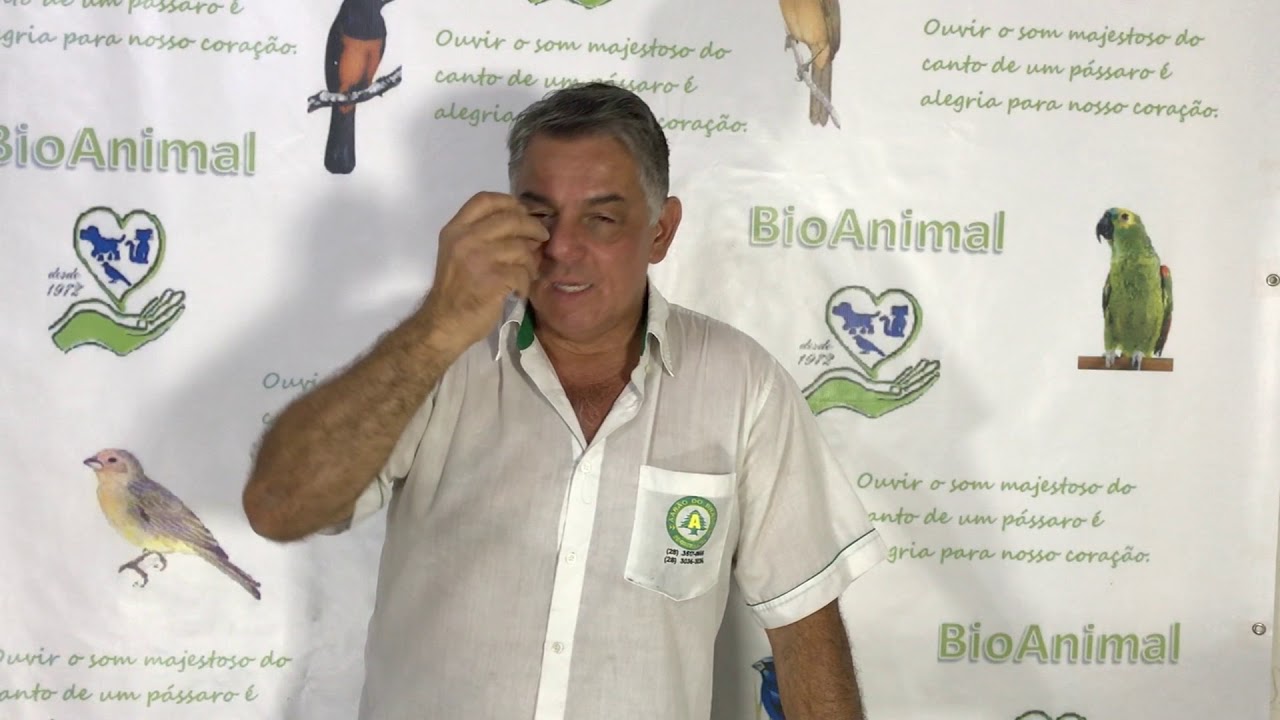 DICAS DO GERALDO  Broca no bico dos trincas