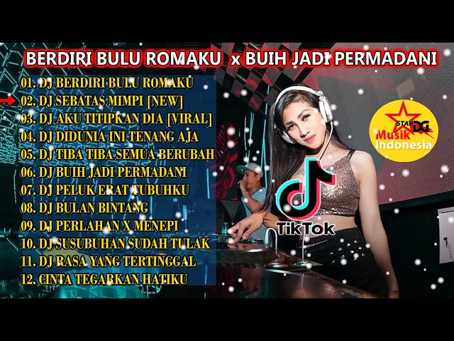 DJ TIK TOK | BERDIRI BULU ROMAKU x BUIH JADI PERMADANI | TERBARU class=