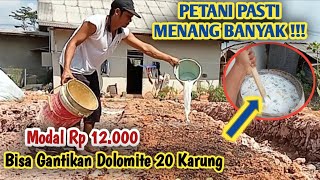 BAYANGKAN !!! modal Rp 12.000 gantikan dolomite 20 karung #phtanah #pertanian