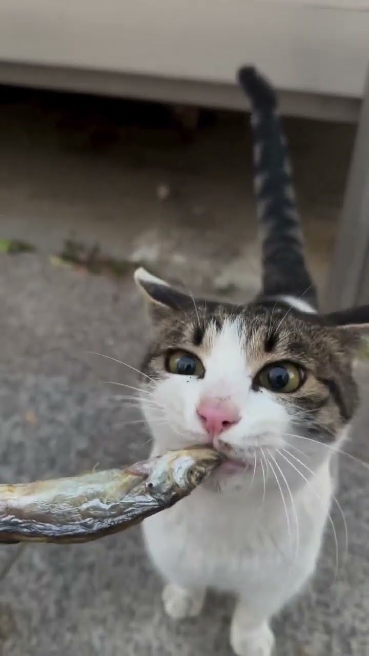 They kicked me out of the house. I'm in the street