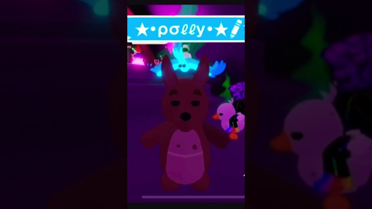 Finding Shy Baby Kangaroo.      