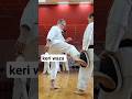 Different types of Mae geri and Mawashi Geri. Dormenko Andrey sensei #karate #martialarts