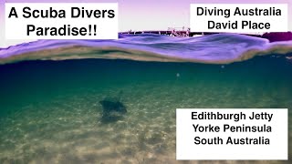 Edithburgh Diving, Diving Australia