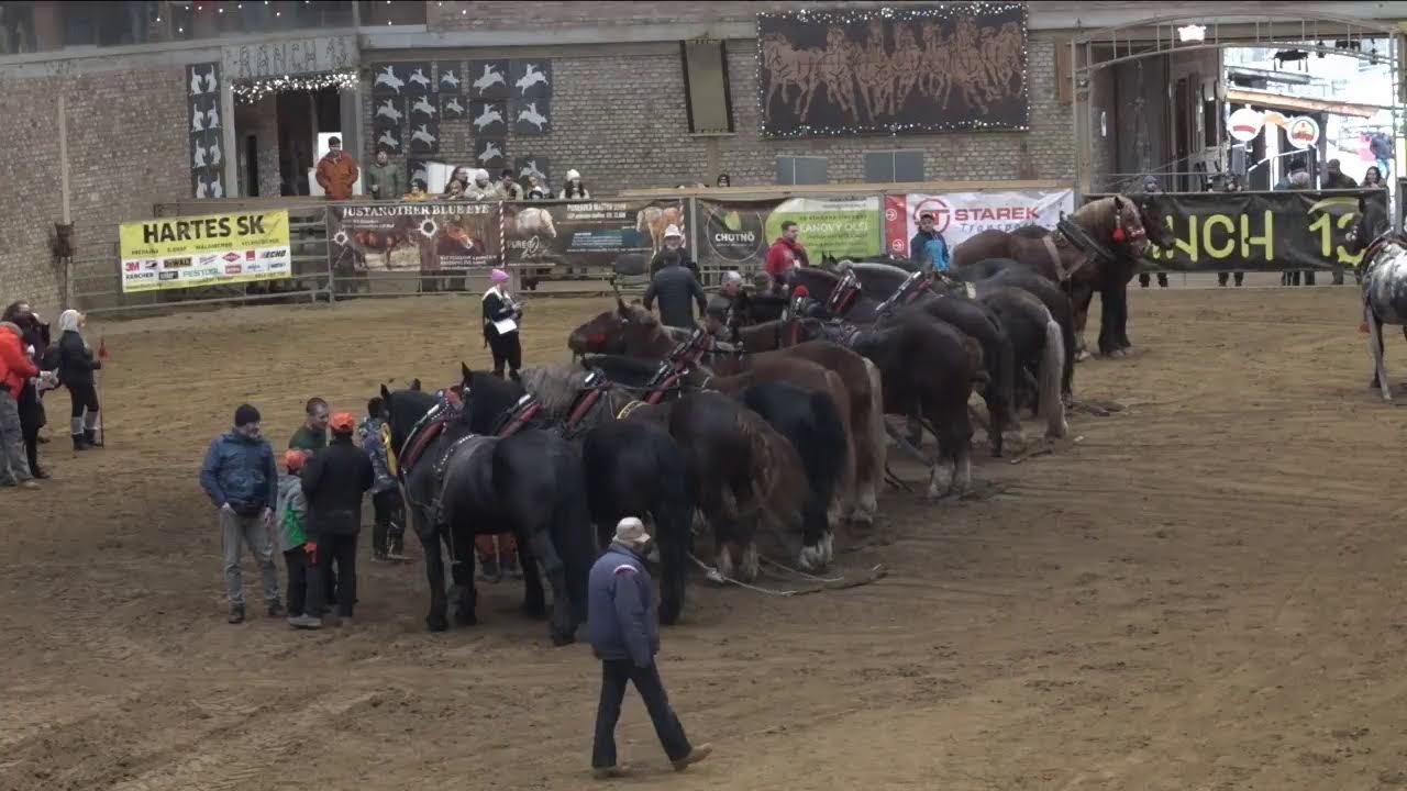 SK - Nemšová - Furmanské preteky(7. 2. 2026.)