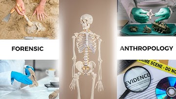 Introduction to Forensic Anthropology | How Forensic Anthropologists Solve Mysteries