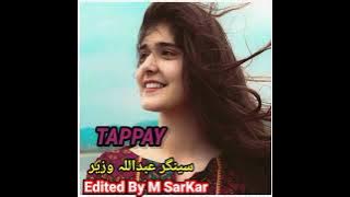 New Pashto Song Tappy/ Singer Abdullah Wazir/ New Song Abdullah Wazir/ عبداللہ وزیر نوے سندرا
