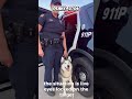 #dogtraining #k9 #police #policedogs