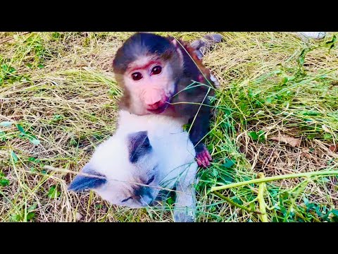 НУЖНА ЛЮСЯ! Степа и Маня без Люськи никак не хотят отпускать меня и Влада)))