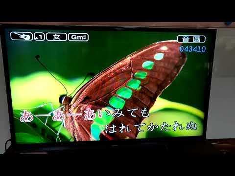 溫泉鄉的吉他(  日語版音樂)