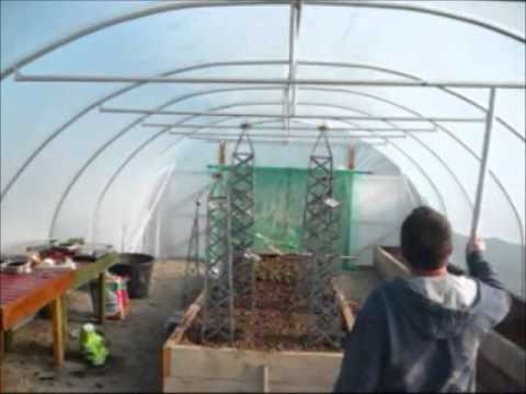 Tour of 19ft wide polytunnel www.polytunnelsireland.com